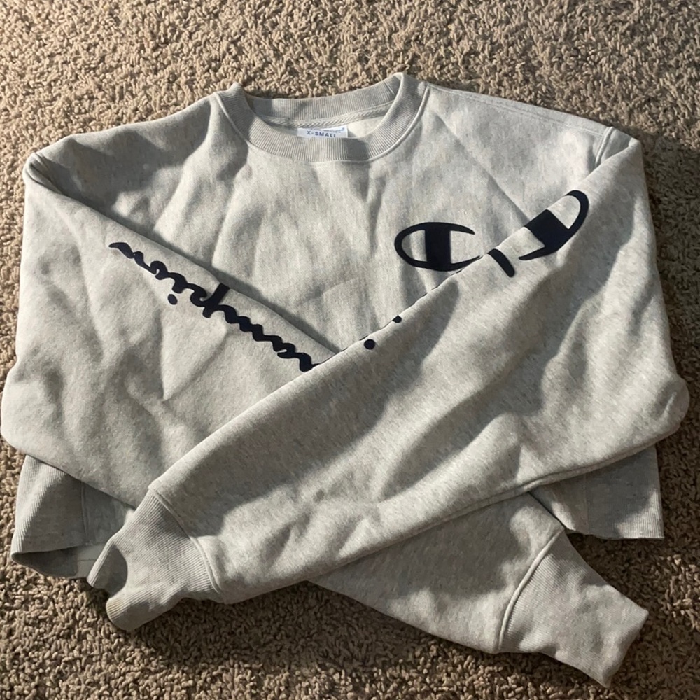 grey cropped champion sweatshirt